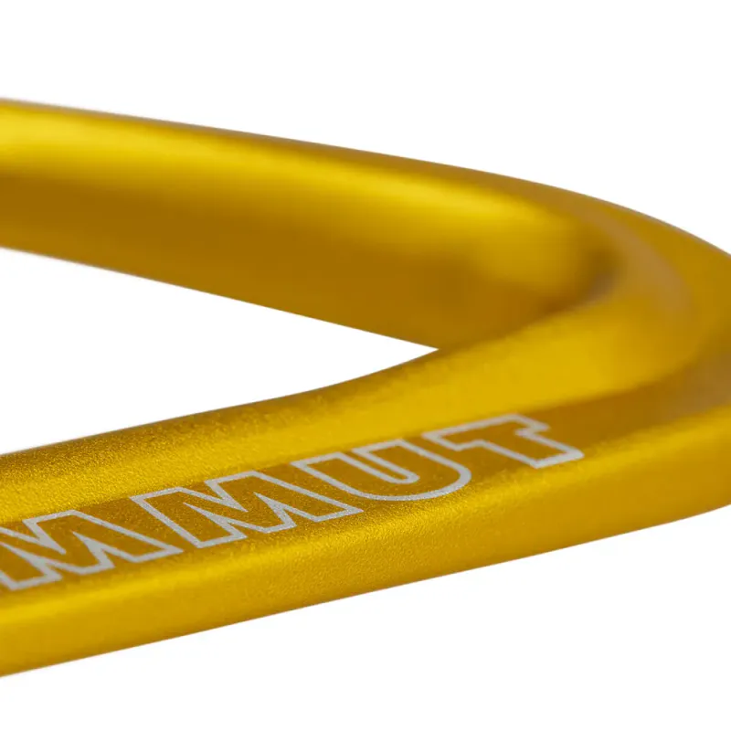 Mammut Sender Wire Rackpack Wire Gate multicolor