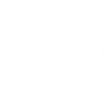 Unleashed