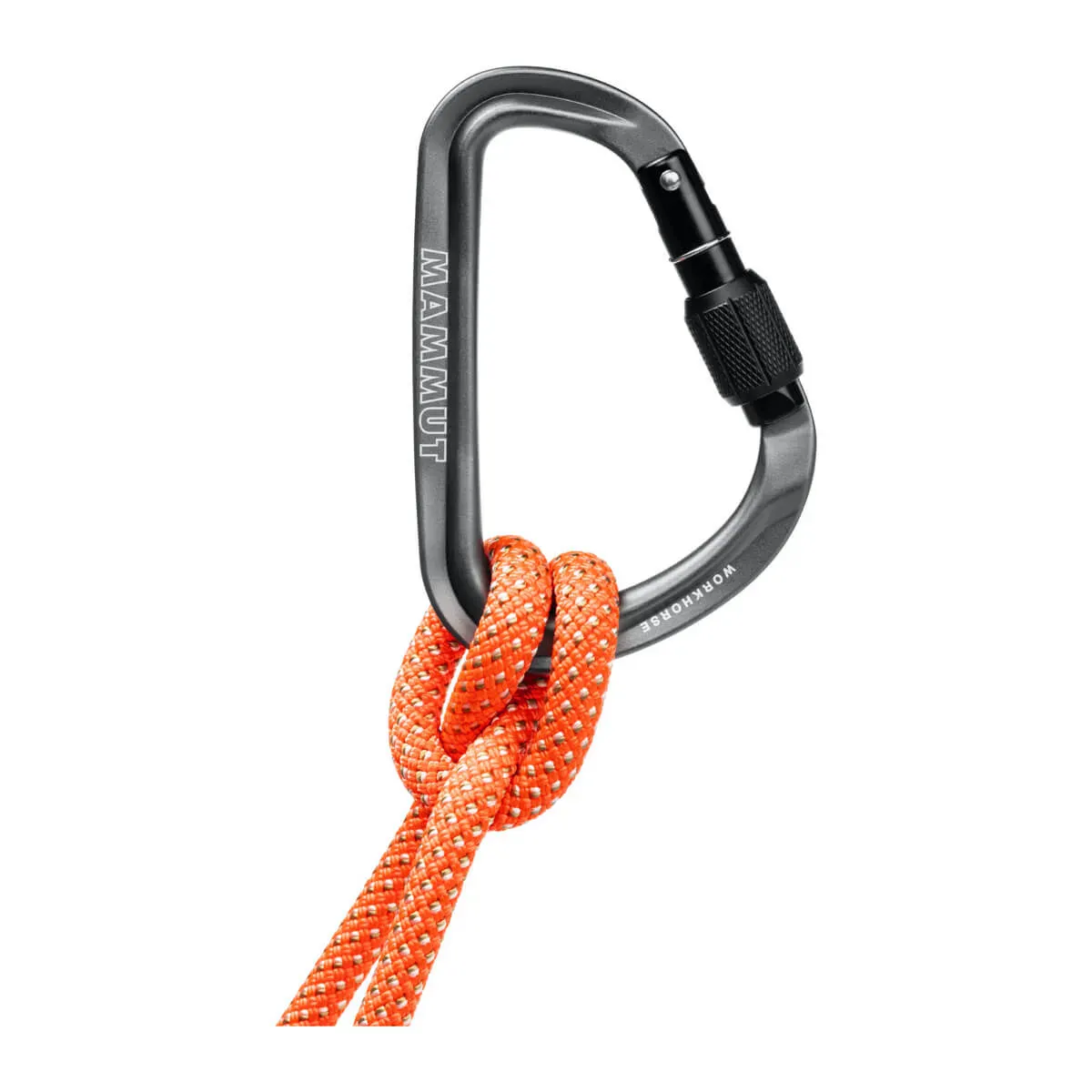 Mammut Workhorse HMS Screwgate carabiner grey