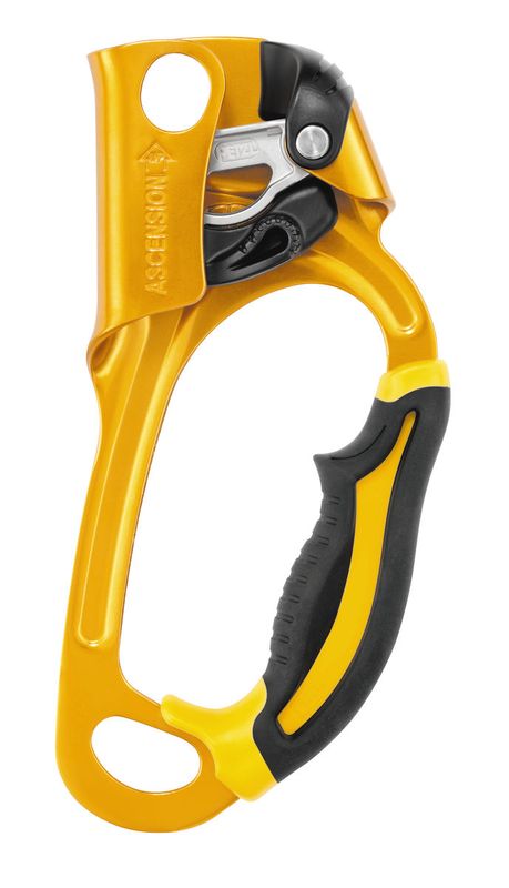 Petzl Ascension right
