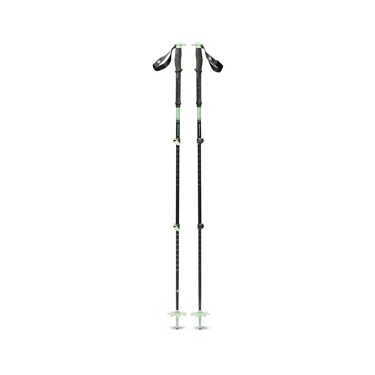 Black Diamond Expedition 3 Ski Poles desert sage
